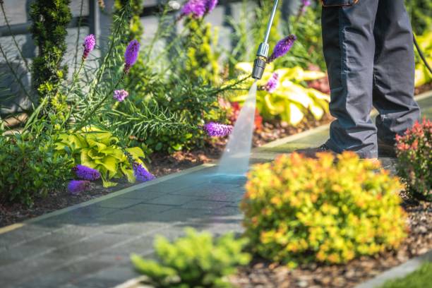 Best Gutter Cleaning  in Henderson, NV